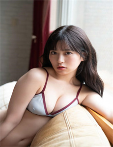 《密探电视剧》